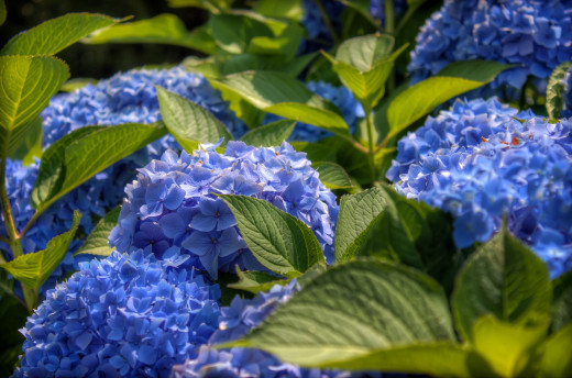 657124 (a): :3000x1980